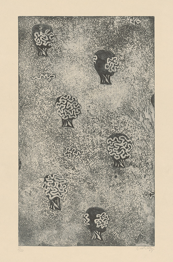 Jarmila Pavlíčková – Pokračovanie 