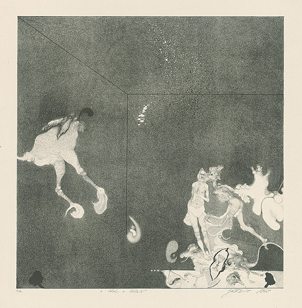 Vladimír Gažovič – Celok a detail 