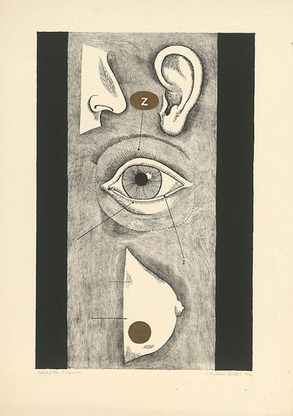 Jana Želibská – Tabule I. 