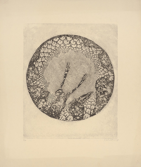 Jarmila Pavlíčková – Kolobeh 