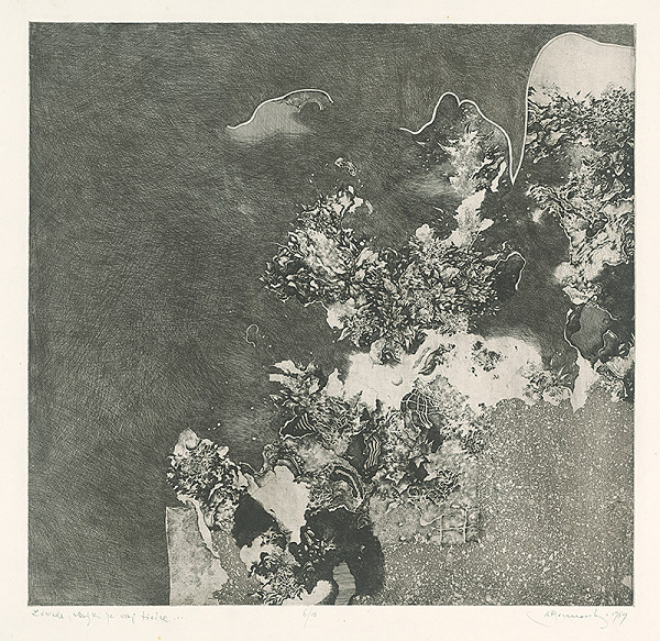 Albín Brunovský – Záhrada akých sú vraj tisíce 