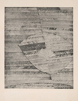 Jiří John – Nerast - kvet horník 