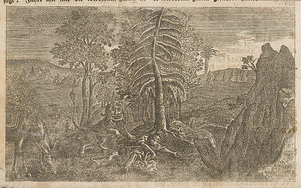 Adam Ludwig Wirsing – Svätý Hieronymus 