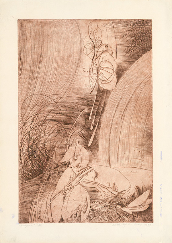 Alžbeta Štefunková-Szabová – Predjarie