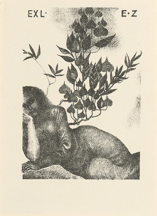 Naďa Rappensbergerová-Jankovičová – Ex libris E.Z. 