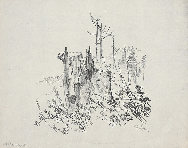 Jaroslav Vodrážka – Pne IV. 