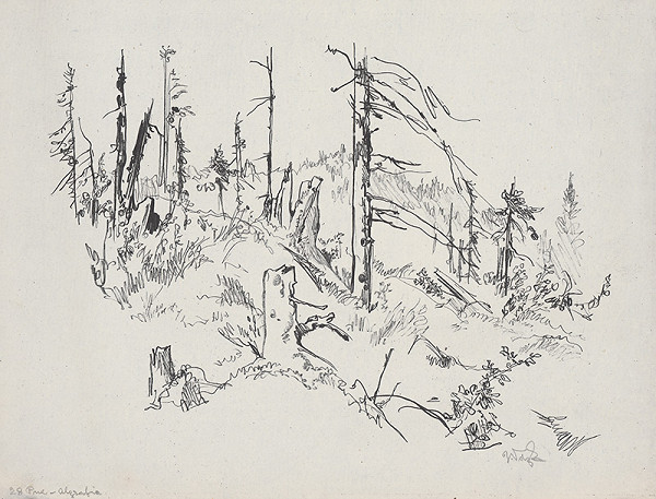 Jaroslav Vodrážka – Pne V. 