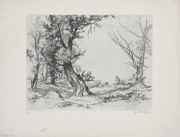 Jaroslav Vodrážka – Pútnik 