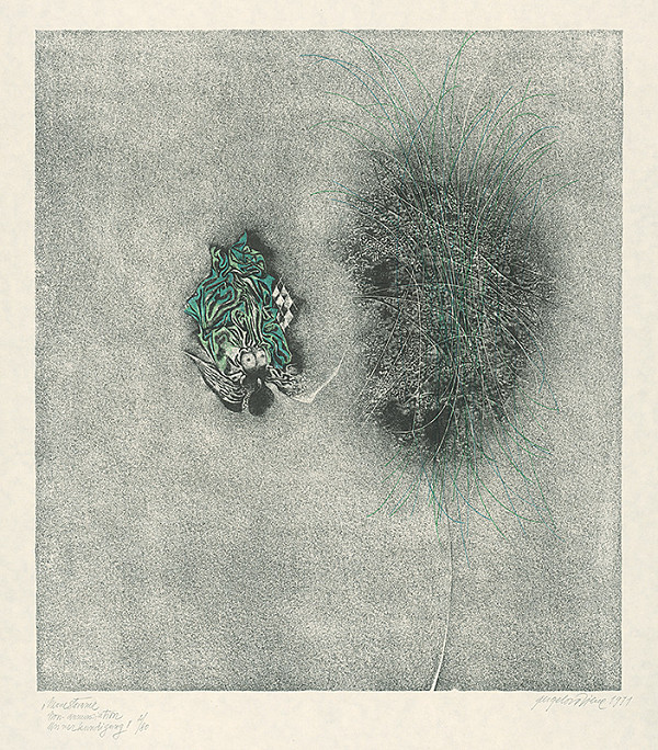 Viera Gergeľová – Nezvestovanie 