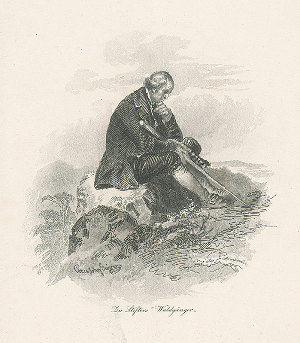 Josef Axmann, Peter Johann Nepomuk Geiger – Ilustrácia ku Stifterovi V 