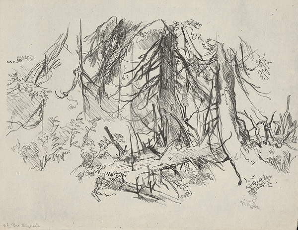 Jaroslav Vodrážka – Pne VI. 