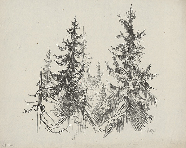 Jaroslav Vodrážka – Pne VII. 