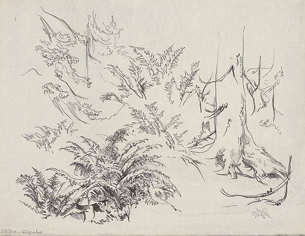 Jaroslav Vodrážka – Pne IX. 