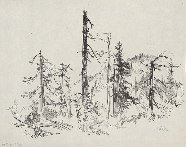 Jaroslav Vodrážka – Pne XI. 