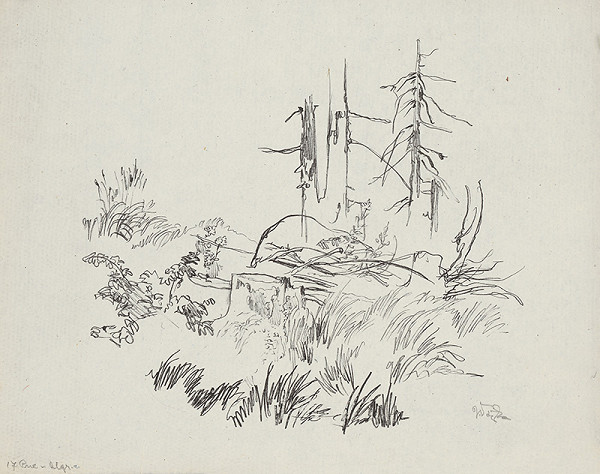 Jaroslav Vodrážka – Pne XII. 