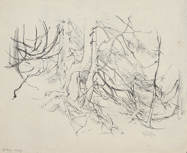 Jaroslav Vodrážka – Pne 