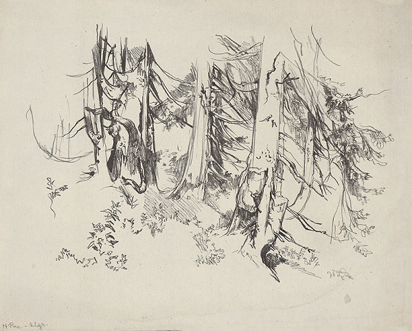 Jaroslav Vodrážka – Pne XIV. 