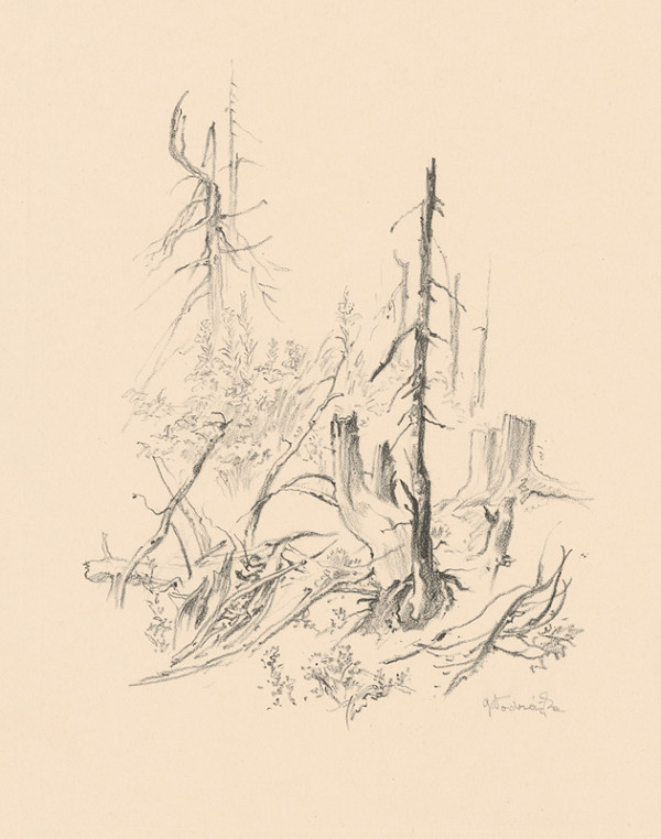 Jaroslav Vodrážka – Štúdia stromov A. 