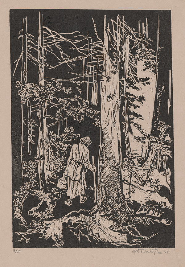 Jaroslav Vodrážka – Žena v hore 