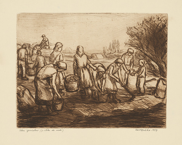 Karol Hučko – Zber zemiakov 