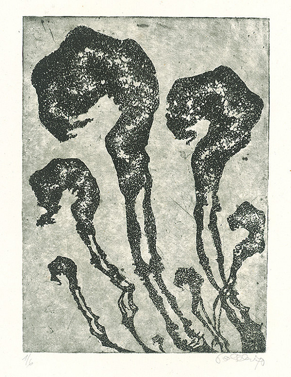 Jarmila Pavlíčková – Čas 