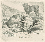 Johann Adam Klein – Spiaci pes 