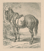 Johann Adam Klein – Kôň 