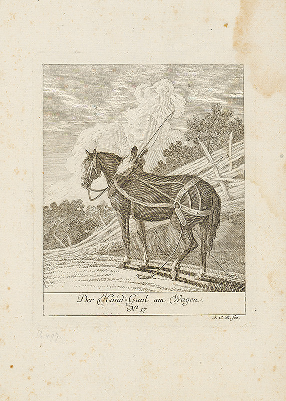 Neznámy autor – Jazdecký kôň 