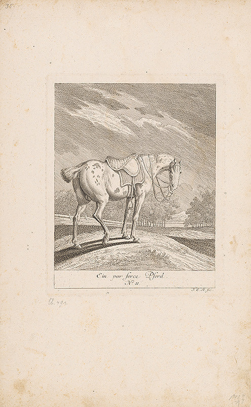 Johann Elias Ridinger – Grošovaný kôň