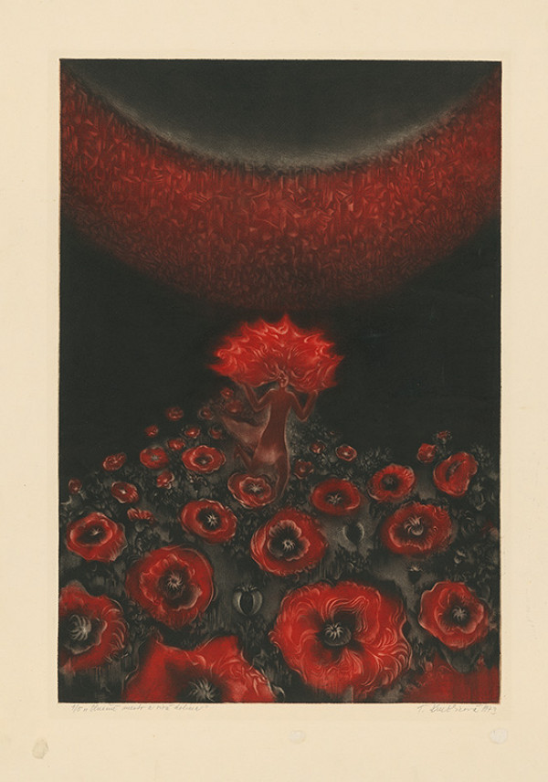 Terézia Kružlicová – Slnečné mesto a sivá dolina 