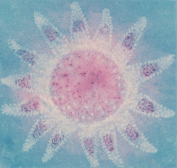 Mária Želibská – Hviezda 