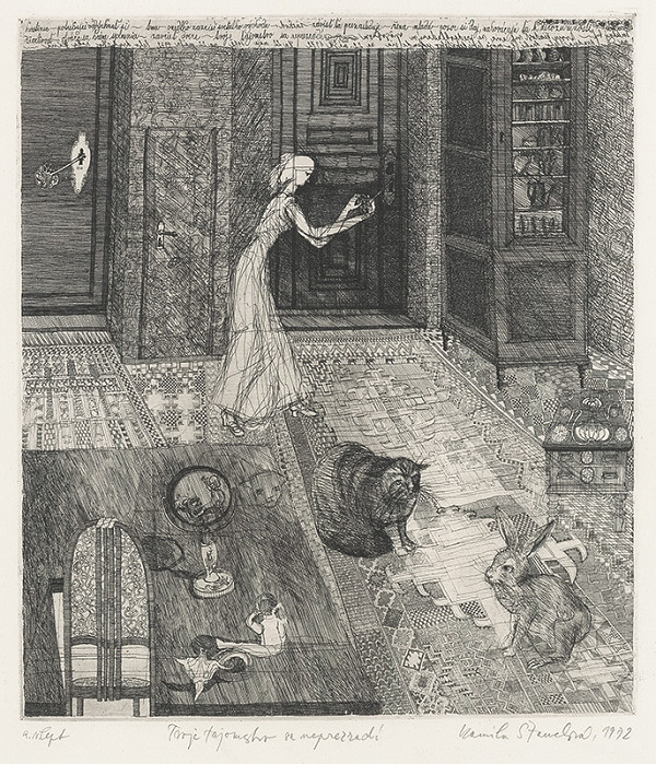 Kamila Štanclová – Tvoje tajomstvo sa neprezradí 