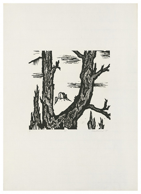 Edita Ambrušová – Neumrel na koni IV. 