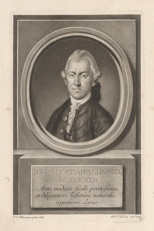 Johann Elias Haid, Johann Jacob Kleemann – Christian Daniel Schreber 