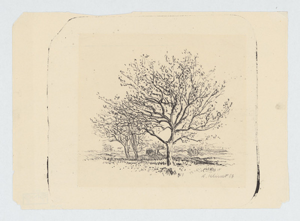 Alojz Klimo – Stromy 