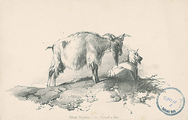 Stredoeurópsky autor z 2. polovice 19. storočia – Kozy 
