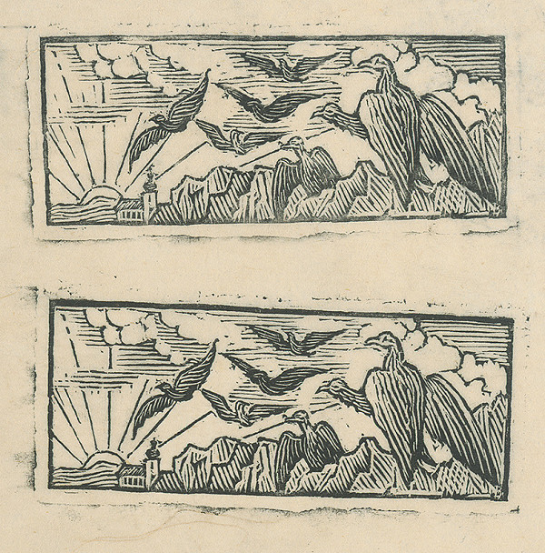 Štefan Bednár – Vtáci nad bralami 