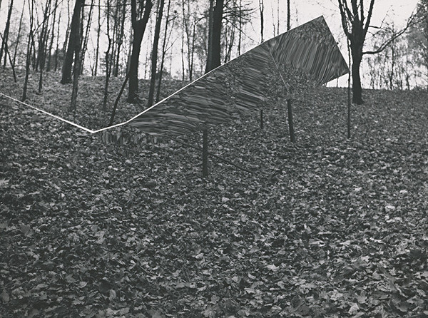 Francisco Infante – Ohniská zakriveného priestoru 