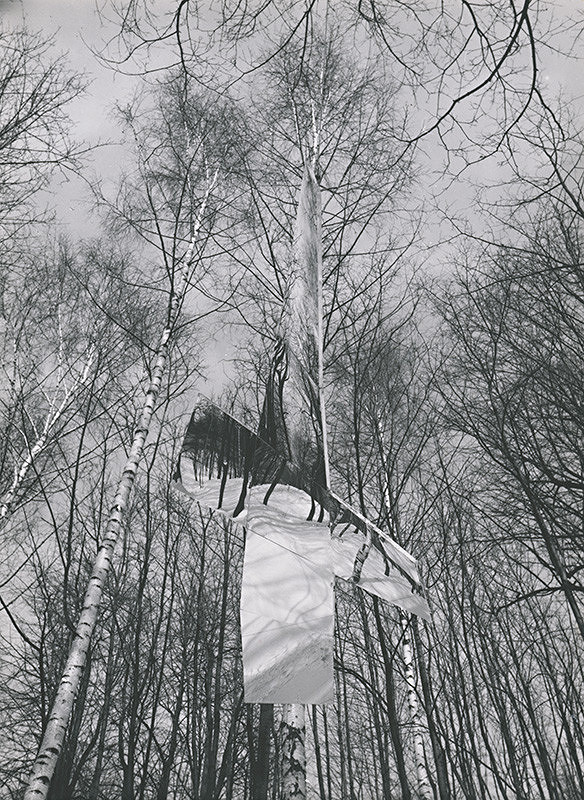 Francisco Infante – Ohniská zakriveného priestoru 