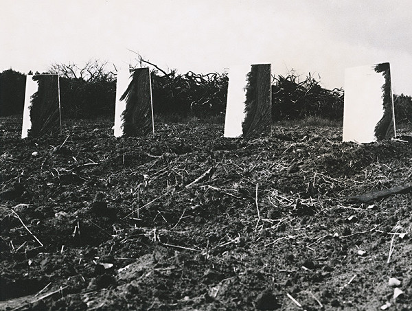 Francisco Infante – Ohniská zakriveného priestoru 