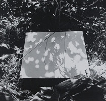 Michal Kern – Searching for Shadow II.  