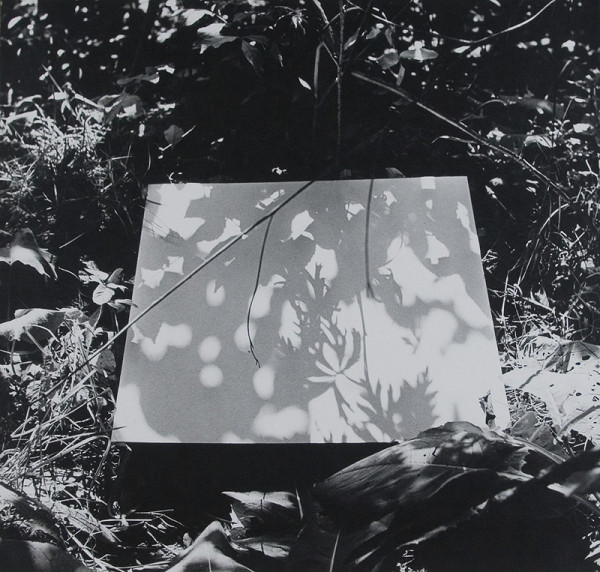 Michal Kern – Hľadanie tieňa II. 