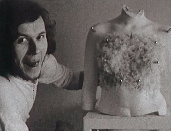 Vladimír Havrilla – Vtáčia žena 