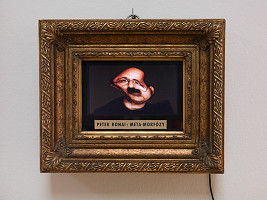 Peter Rónai – Meta-morfózy 