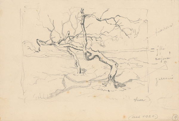 Ľudovít Fulla – Štúdia suchého stromu 