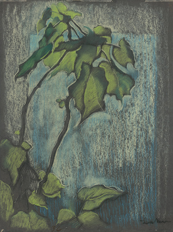 Lea Mrázová – Rastliny 