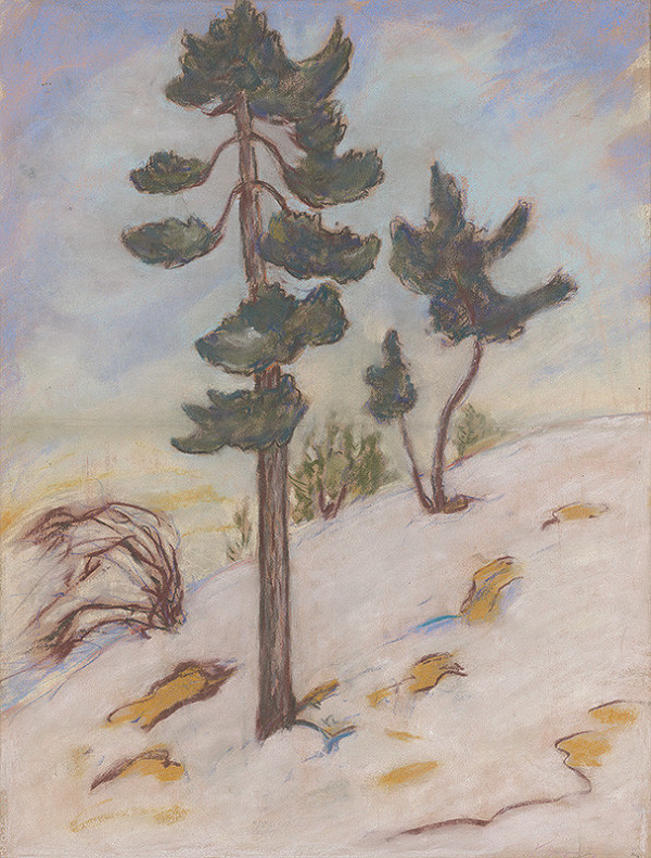 Zolo Palugyay – Neskorá jeseň vo Vysokých Tatrách 