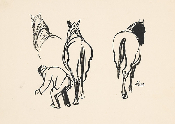 Jaroslav Vodrážka – Kone 