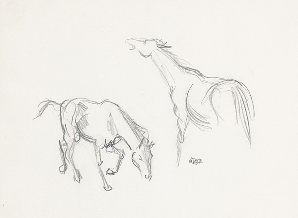 Jaroslav Vodrážka – Kone 