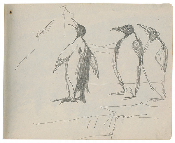 Margita Czóbelová – Náčrt tučniakov  